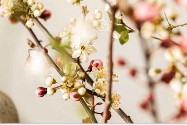 Rectangle 122 (13) (1)