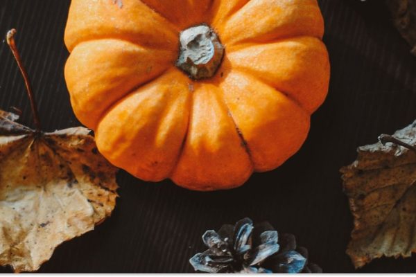 Rectangle 122 (15) (1)