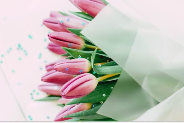 Rectangle 122 (19) (1)