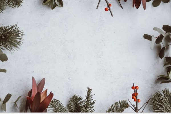 Rectangle 122 (9) (1)